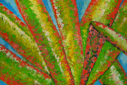 2008 Dracena
