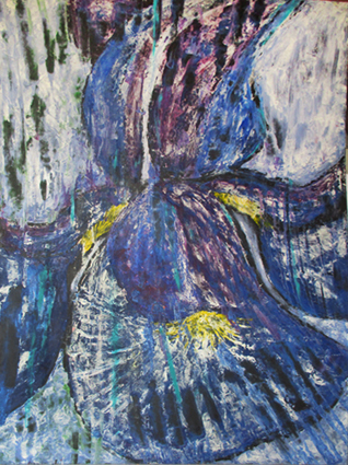 2016 Iris
